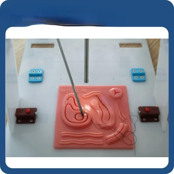Simulator Pelatihan Laparoskop - Woodworking Simulator ulasan dan harga